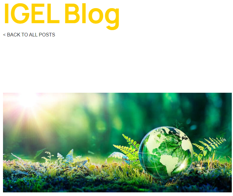 Sustainable IT: How to Reduce IT Carbon Footprint by 50% and Minimize E-waste